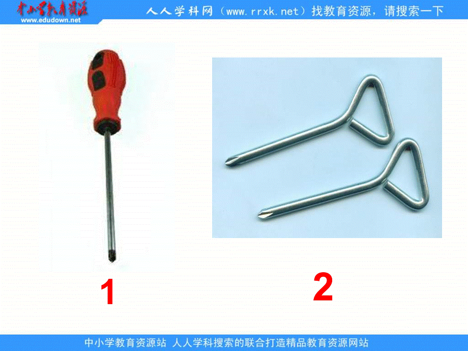 青岛小学科学三下《21 谁的本领大》PPT课件 (1)【加微信公众号 jiaoxuewuyou 九折优惠 qq 1119139686】.ppt_第2页