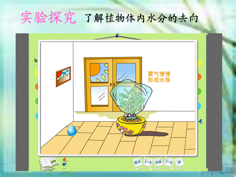 青岛小学科学四上《3 植物的叶》PPT课件 (4)【加微信公众号 jiaoxuewuyou 九折优惠 qq 1119139686】.ppt_第2页