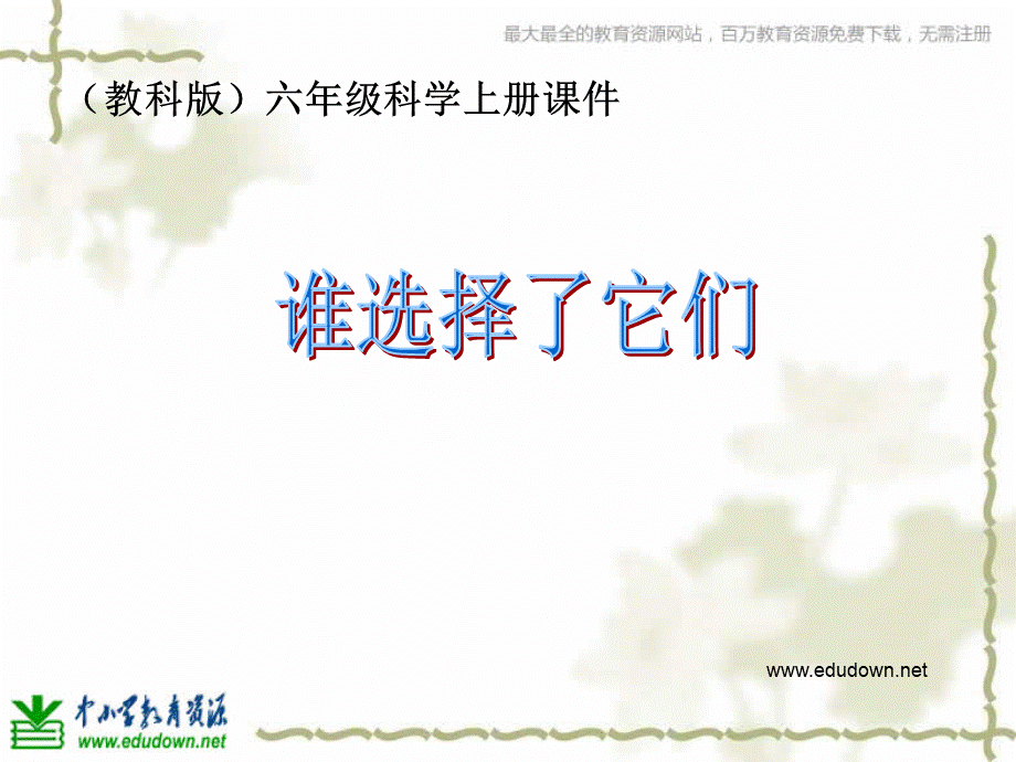 教科小学科学六上《4.7、谁选择了它们》PPT课件(8)【加微信公众号 jiaoxuewuyou 九折优惠 qq 1119139686】.ppt_第1页