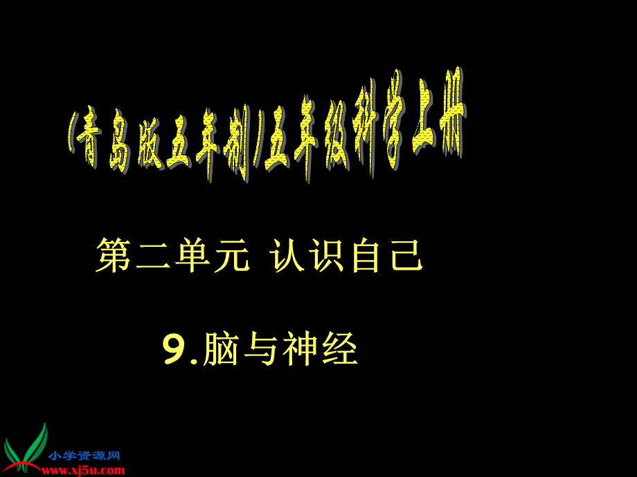 青岛小学科学五上《9 脑与神经》PPT课 件 (1)【加微信公众号 jiaoxuewuyou 九折优惠 qq 1119139686】.ppt_第1页