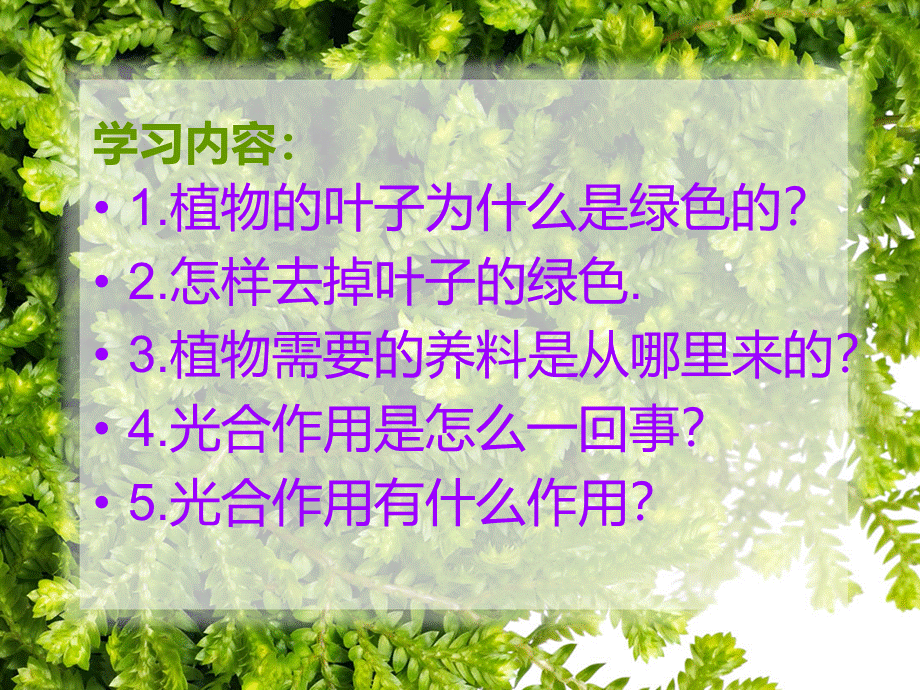 青岛小学科学四上《3 植物的叶》PPT课件 (8)【加微信公众号 jiaoxuewuyou 九折优惠 qq 1119139686】.ppt_第2页