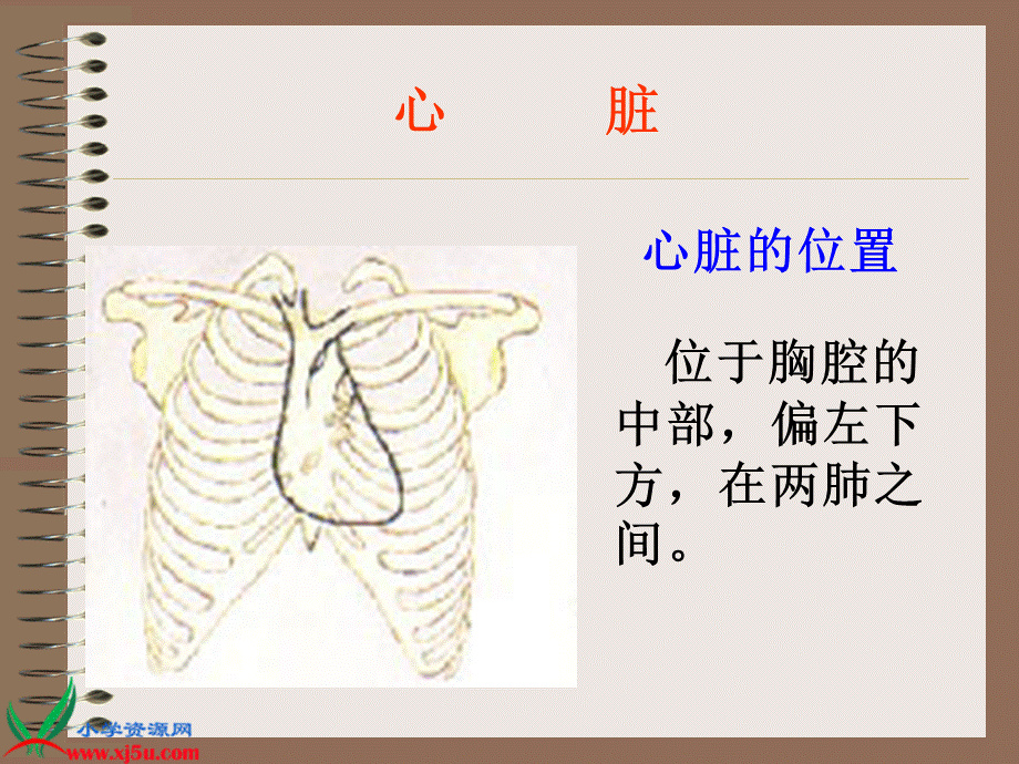 首师大小学科学四下《16.心脏的保健》PPT课件(3)【加微信公众号 jiaoxuewuyou 九折优惠qq 1119139686】.ppt_第3页