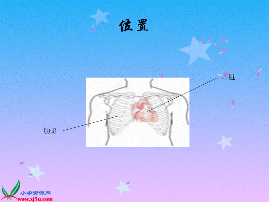 首师大小学科学四下《16.心脏的保健》PPT课件(1)【加微信公众号 jiaoxuewuyou 九折优惠qq 1119139686】.ppt_第2页