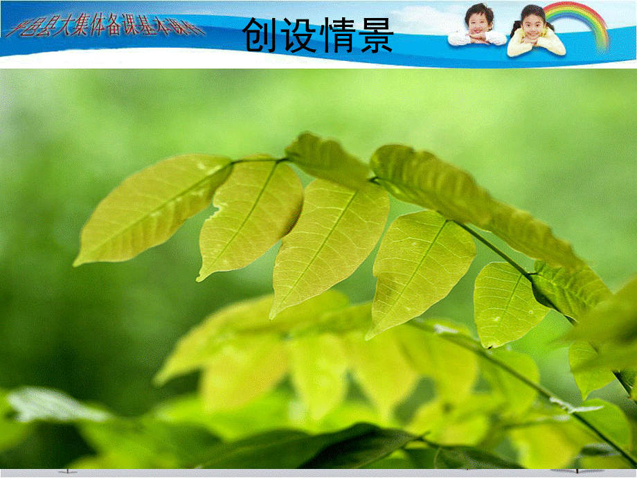 青岛小学科学四上《3 植物的叶》PPT课件 (1)【加微信公众号 jiaoxuewuyou 九折优惠 qq 1119139686】.ppt_第3页