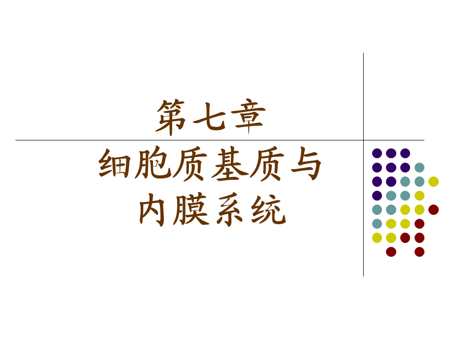 第七章细胞质基质与内膜系统.ppt_第1页