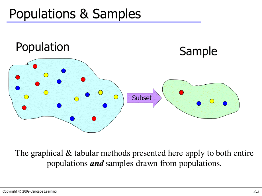 统计学ch02_英文版.ppt_第3页