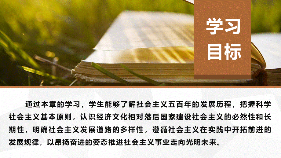 第六章社会主义的发展及其规律.ppt_第2页