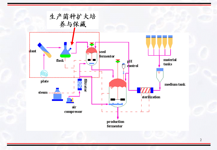 第4章生产菌种的扩大培养与保藏.pptx_第2页