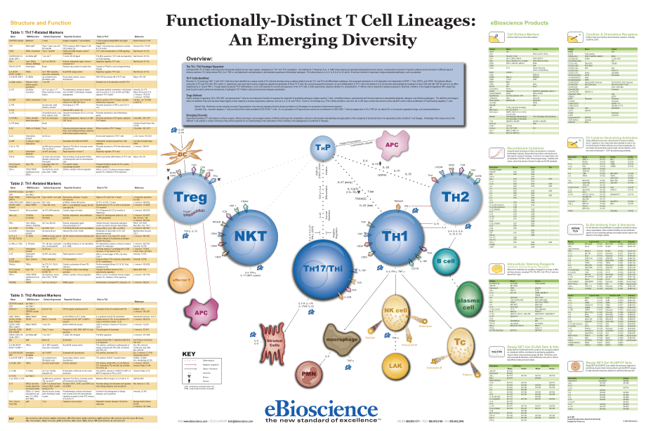 TCell_Poster.pdf_第1页