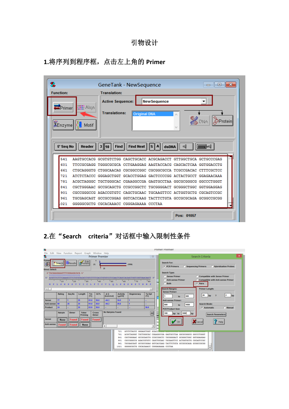 基因引物设计(1).docx_第1页