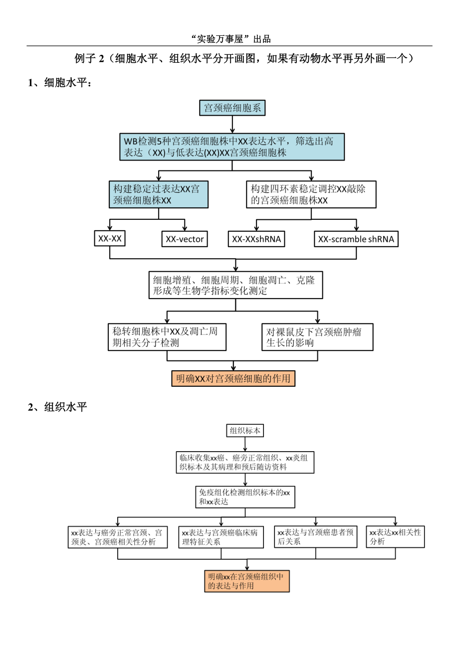 技术路线图(国自然）.pdf_第2页