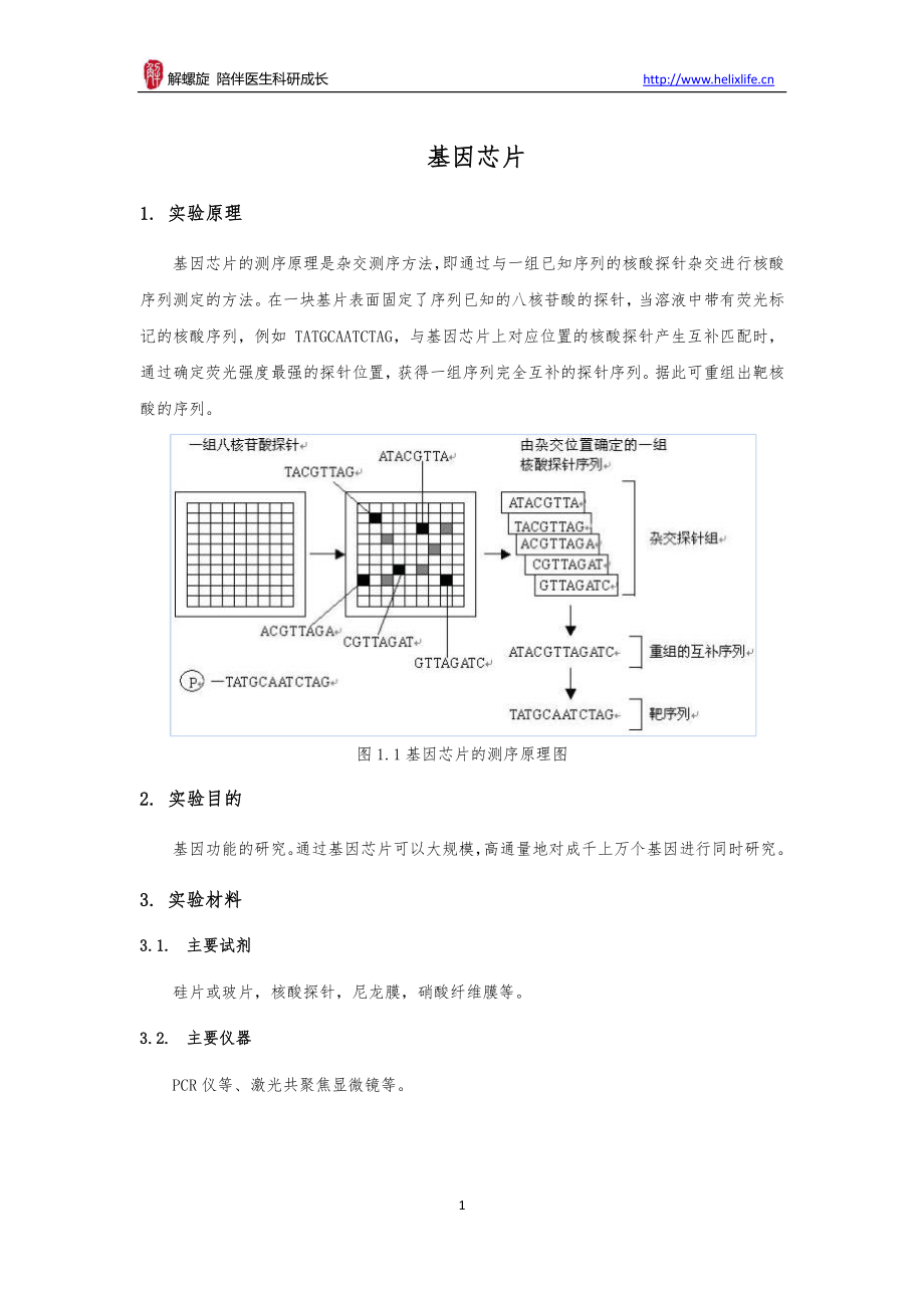 基因芯片(1).pdf_第1页