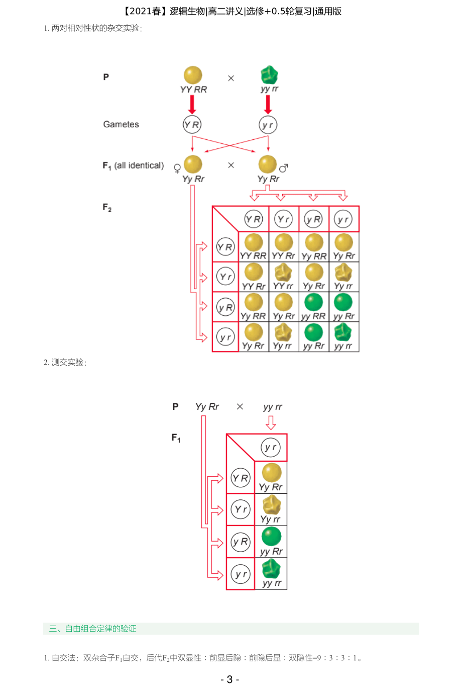 【2021春】讲义-第十一讲-遗传三大秘术搞定自由组合定律（一） .pdf_第3页