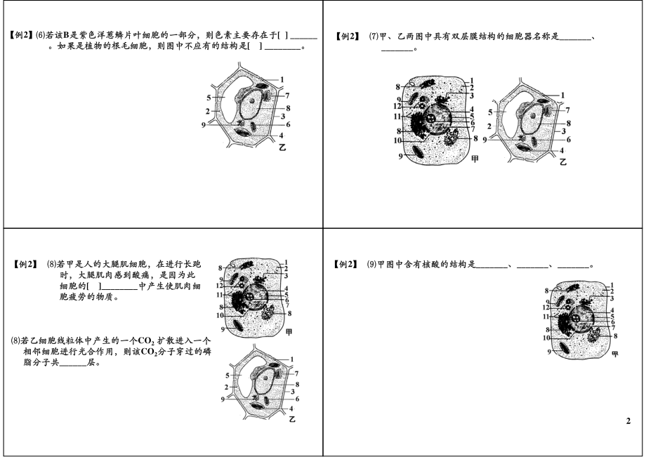 细胞的结构与功能-细胞器的结构与功能(1).pdf_第2页