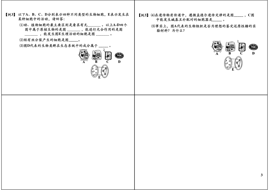 细胞的结构与功能-细胞器的结构与功能(1).pdf_第3页