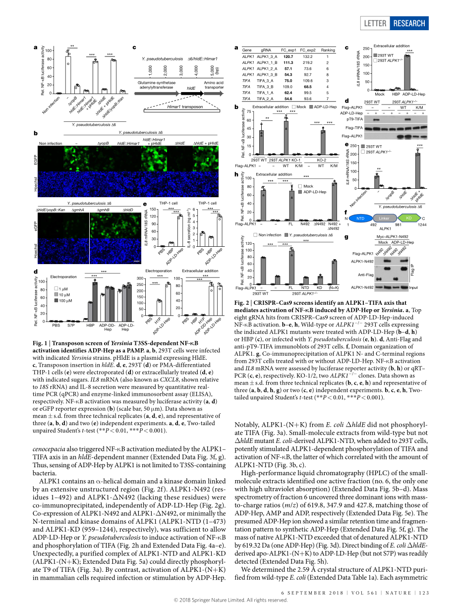 2018-Zhou-Alpha-kinase 1 is a cytosolic innate.pdf_第2页