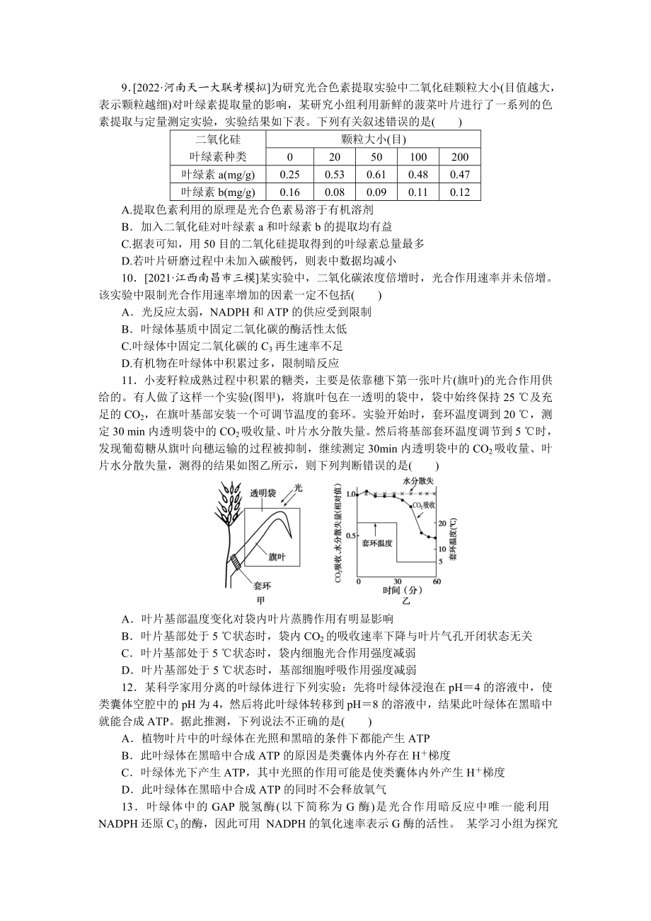 考点10　光合作用.doc_第3页