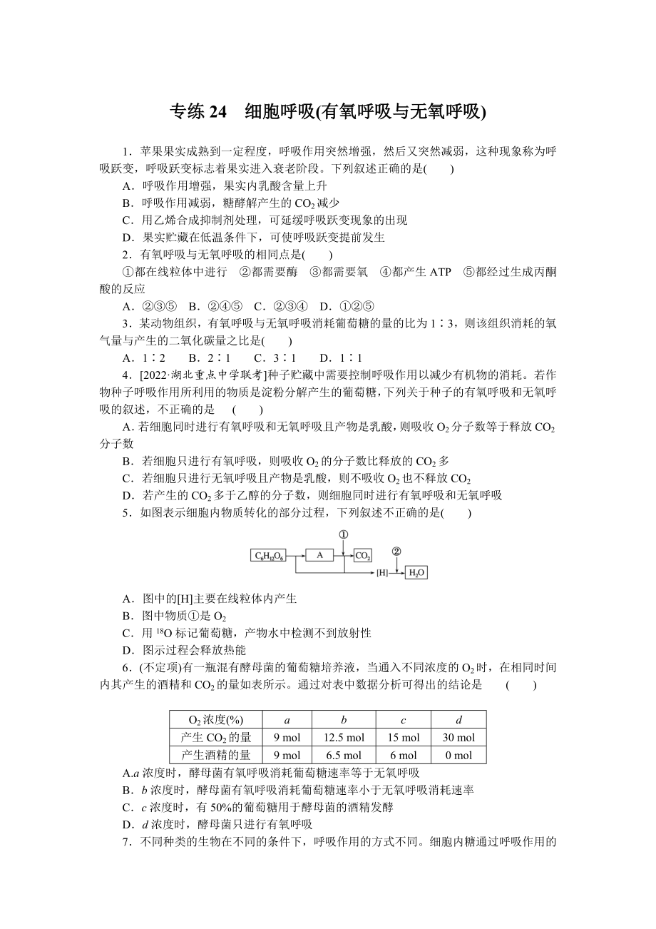 专练24　细胞呼吸(有氧呼吸与无氧呼吸).docx_第1页