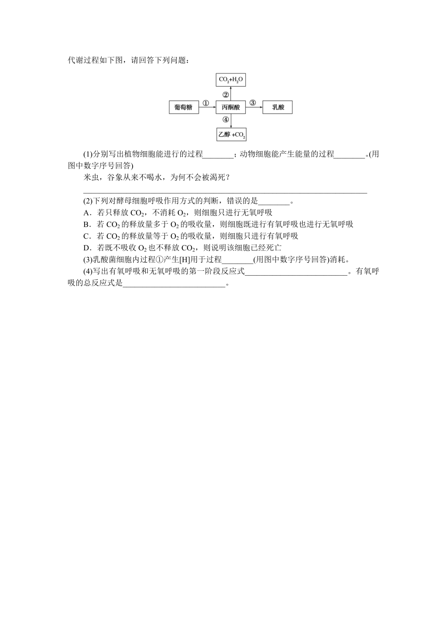 专练24　细胞呼吸(有氧呼吸与无氧呼吸).docx_第2页