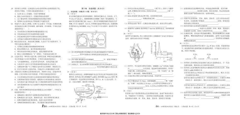 1号卷·A10联盟2022届高三摸底考生物试题.pdf_第2页