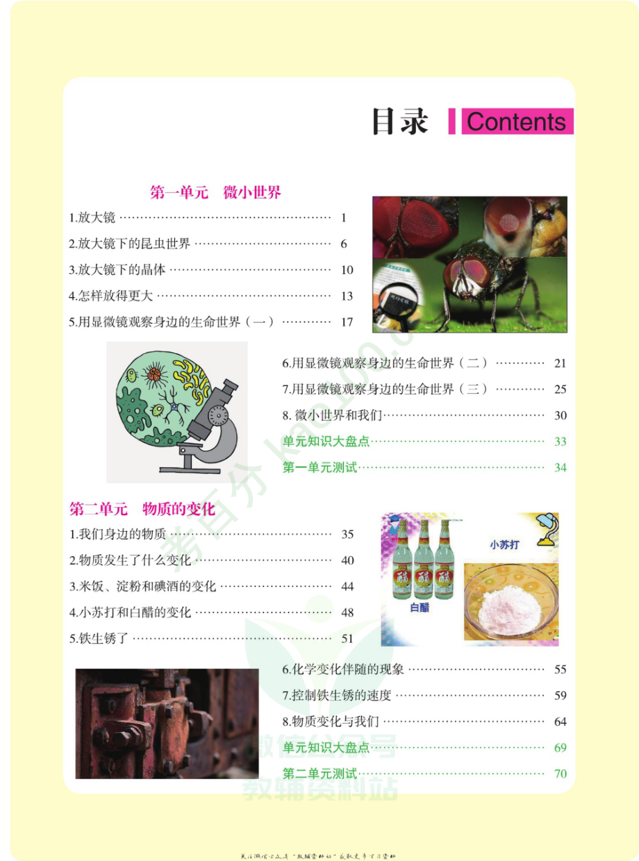 新教材完全解读六年级下册科学教科版.pdf_第2页