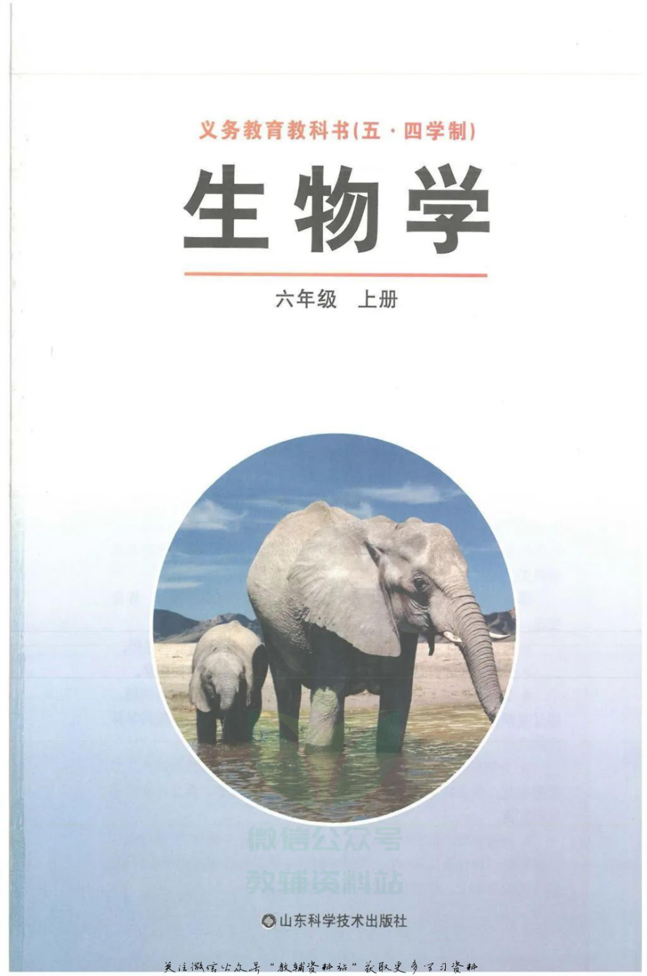 六年级上册生物鲁科版电子课本.pdf_第2页