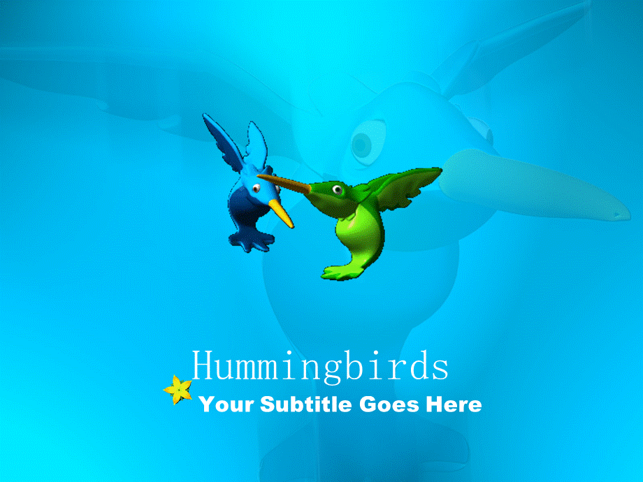 hummingbirds010.ppt_第1页