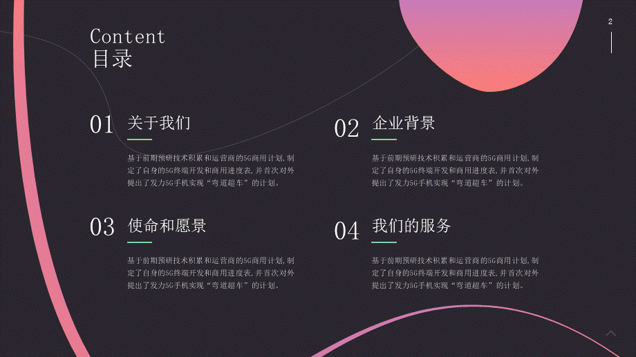 项目策划(44).pptx_第2页