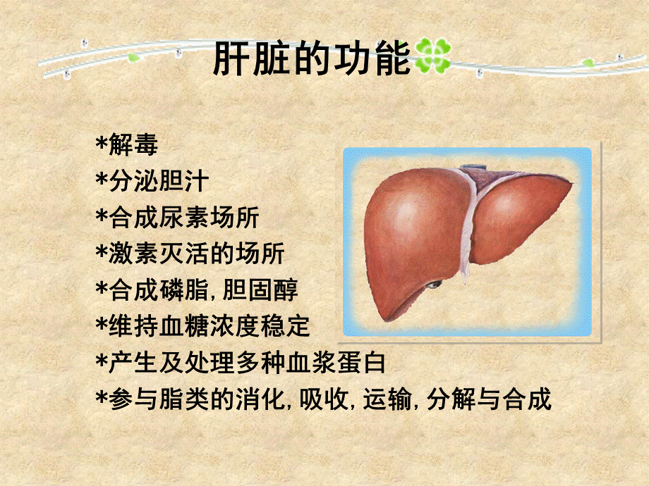 亮亮图文论文答辩41.ppt_第3页