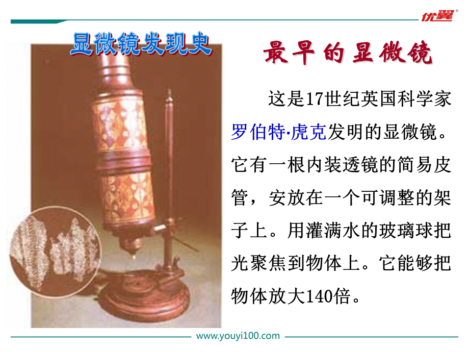 1.第一节练习使用显微镜.ppt_第2页