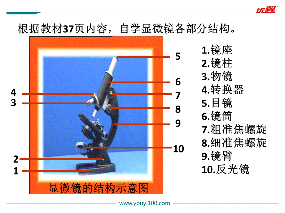 1.第一节练习使用显微镜.ppt_第3页