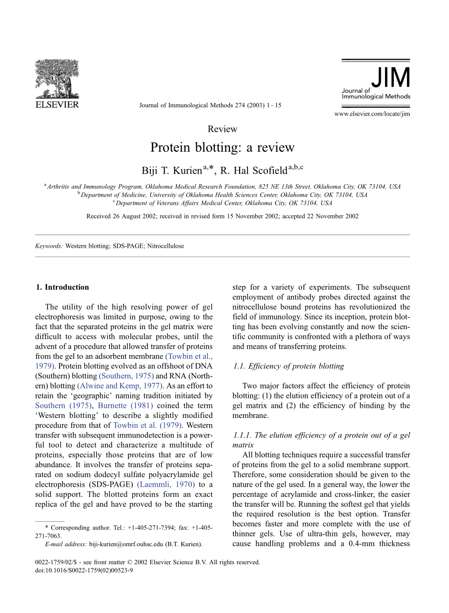 Protein blotting a review(1).pdf_第1页