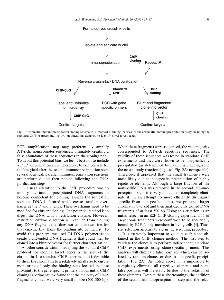 Identification of unknown target genes using ChIP(1).pdf_第3页