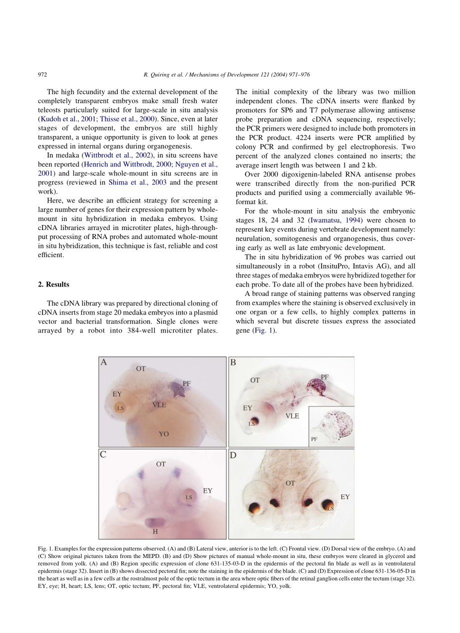 Large-scale expression screening by automated whole-mount in situ(1).pdf_第2页