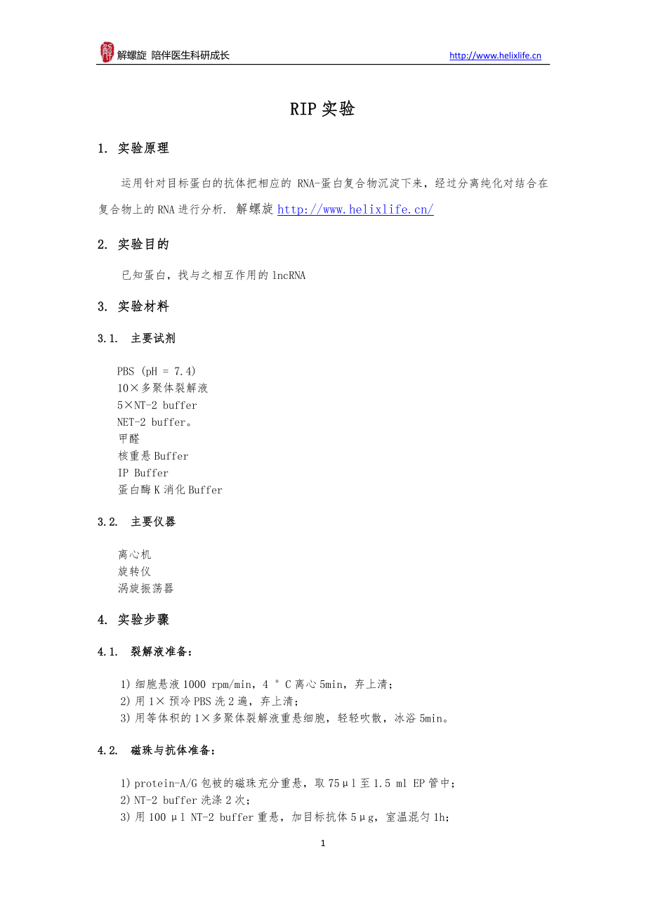 RIP实验(1).pdf_第1页