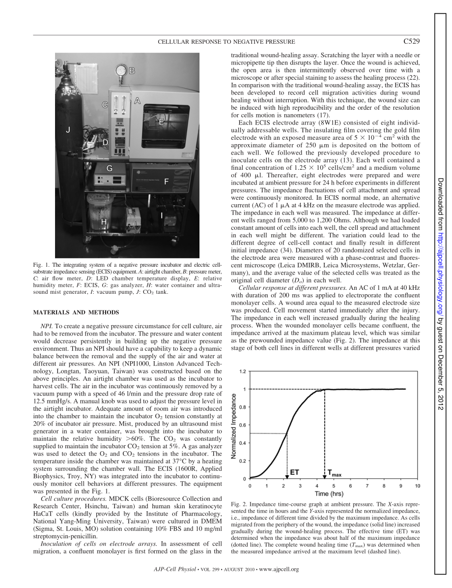 Effects of Negative Pressures on Epithelial Tight Junctions and Migration in Wound Healing(1).pdf_第2页