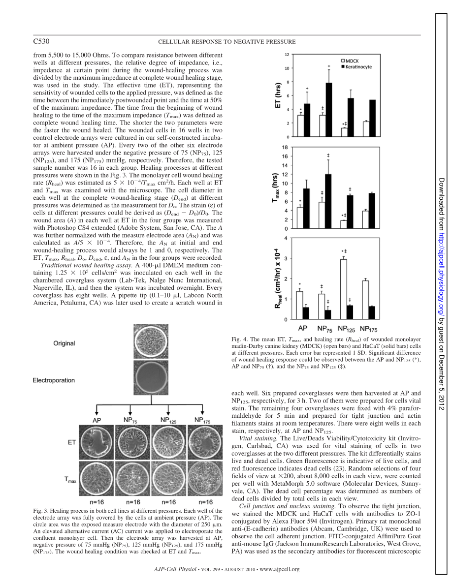 Effects of Negative Pressures on Epithelial Tight Junctions and Migration in Wound Healing(1).pdf_第3页