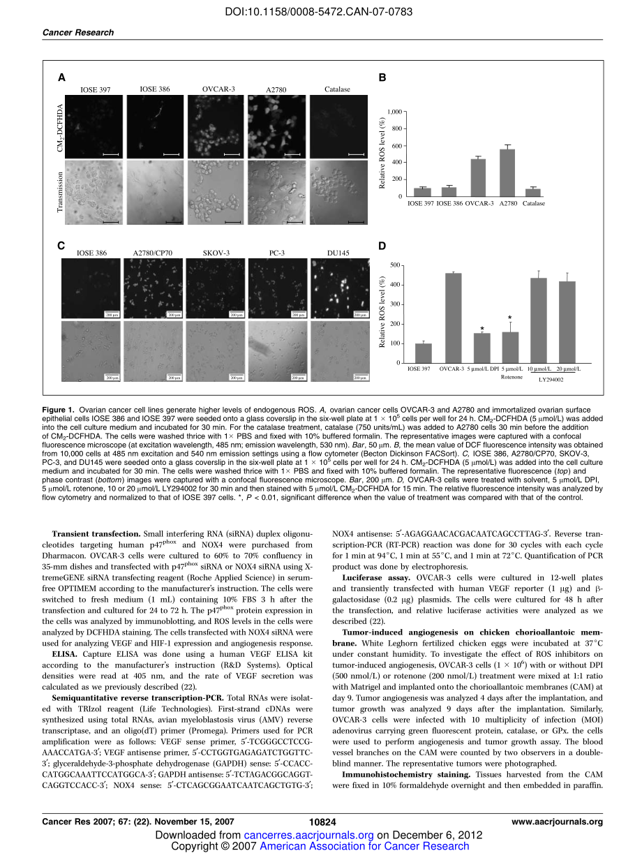 Reactive oxygen species regulate angiogenesis and tumor growth through vascular endothelial growth factor.pdf_第2页