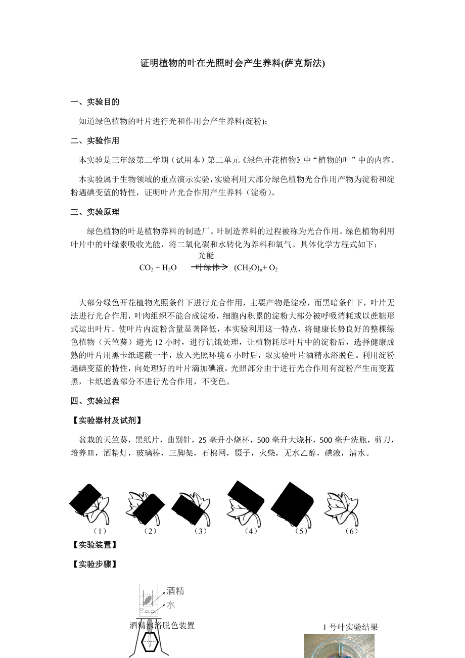 613-1证明植物的叶在光照时会产生养料(萨克斯法)(2).docx_第1页