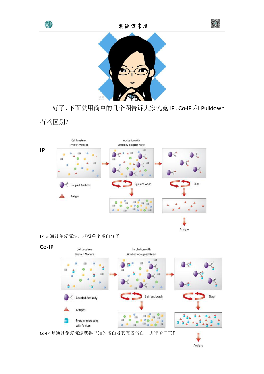 IP Co-IP区别 以及pull_down(1).pdf_第1页