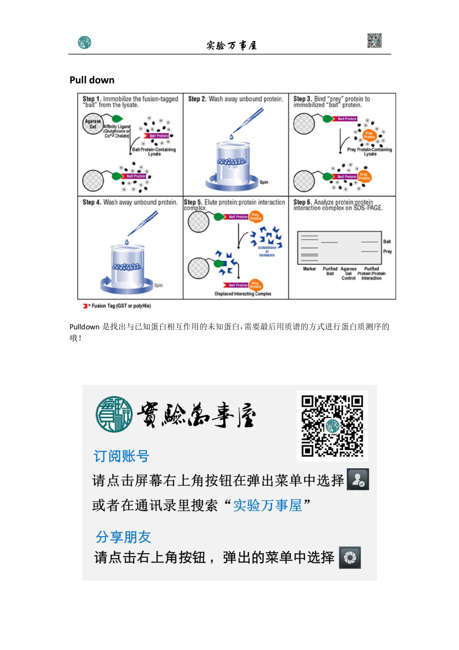 IP Co-IP区别 以及pull_down(1).pdf_第2页