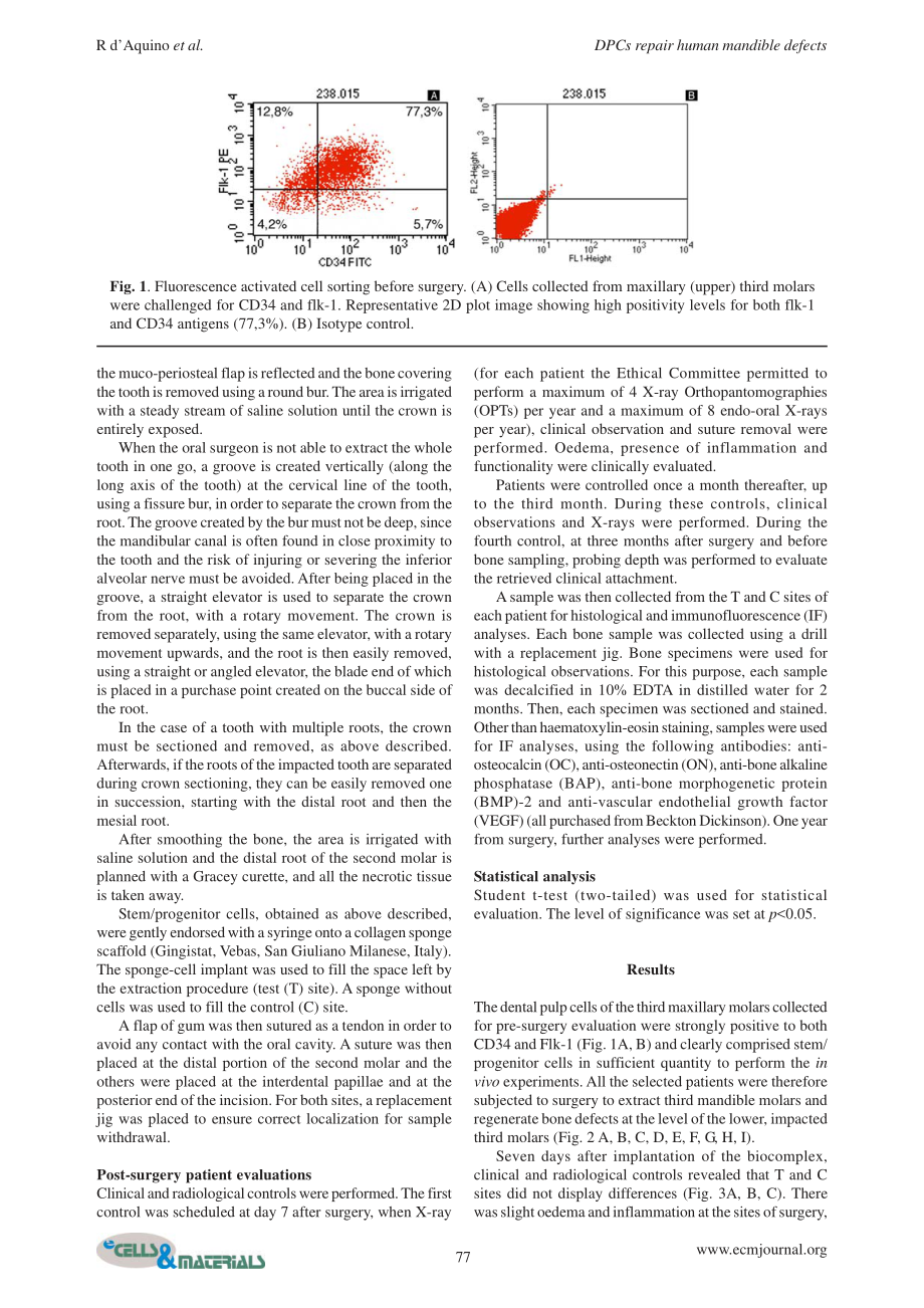 HUMAN MANDIBLE BONE DEFECT REPAIR BY THE GRAFTING OF DENTAL.pdf_第3页