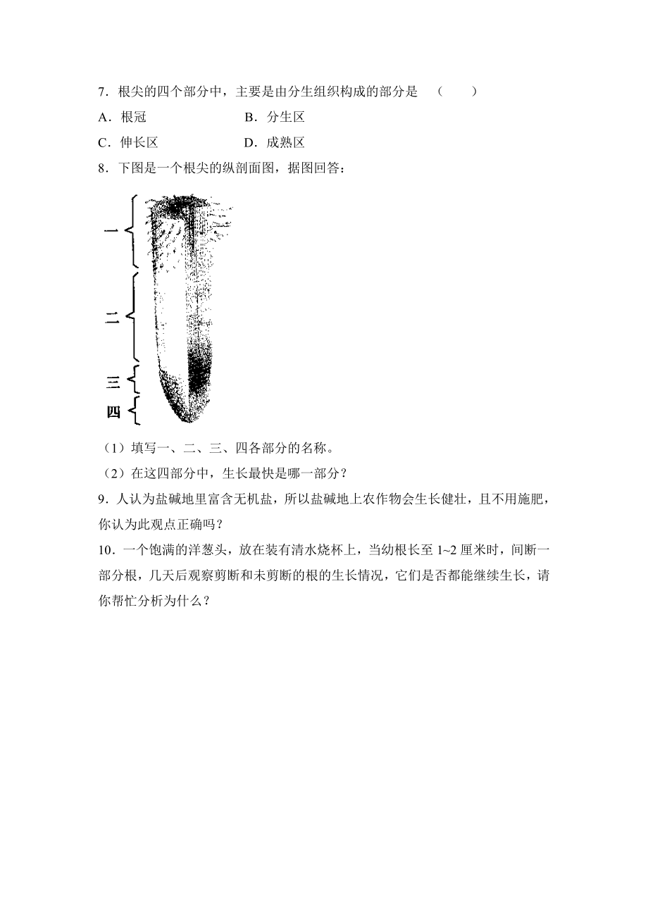 《植株的生长》习题3 含答案.doc_第2页