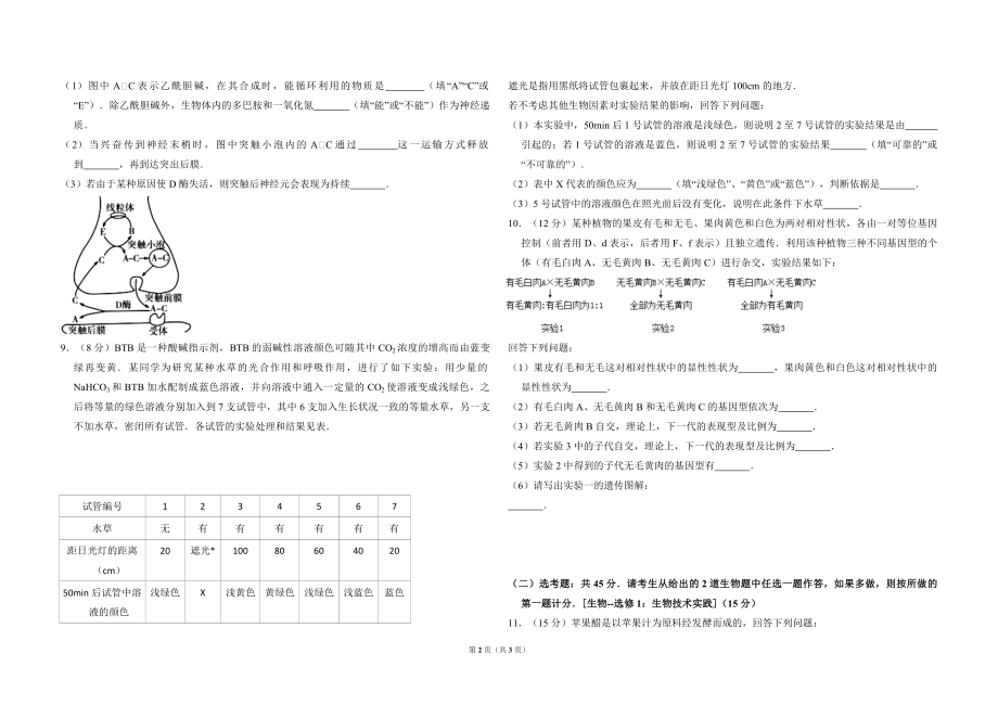 2016年全国统一高考生物试卷（新课标ⅱ）（原卷版）(1).pdf_第2页