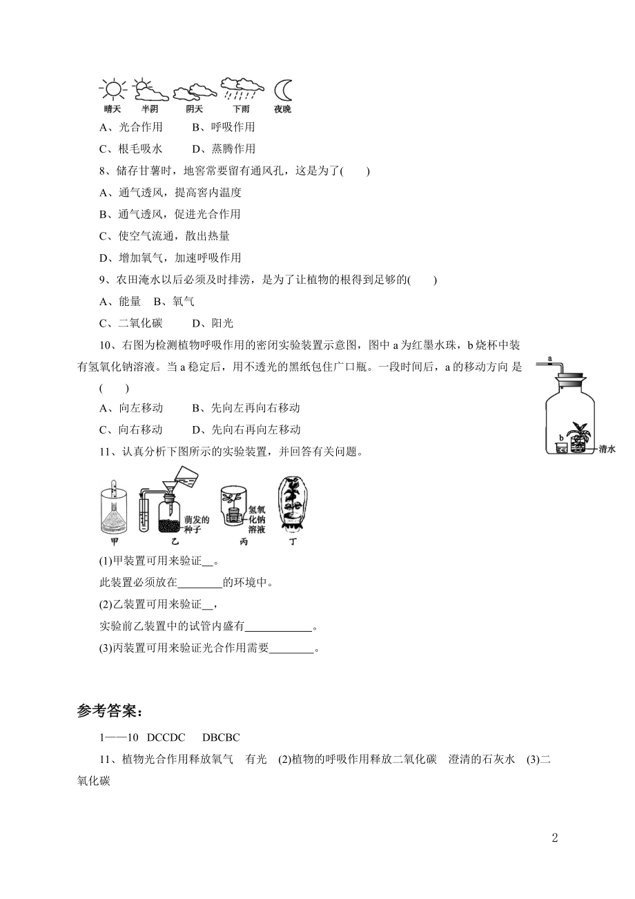 《绿色植物的呼吸作用》习题1 含答案.doc_第2页