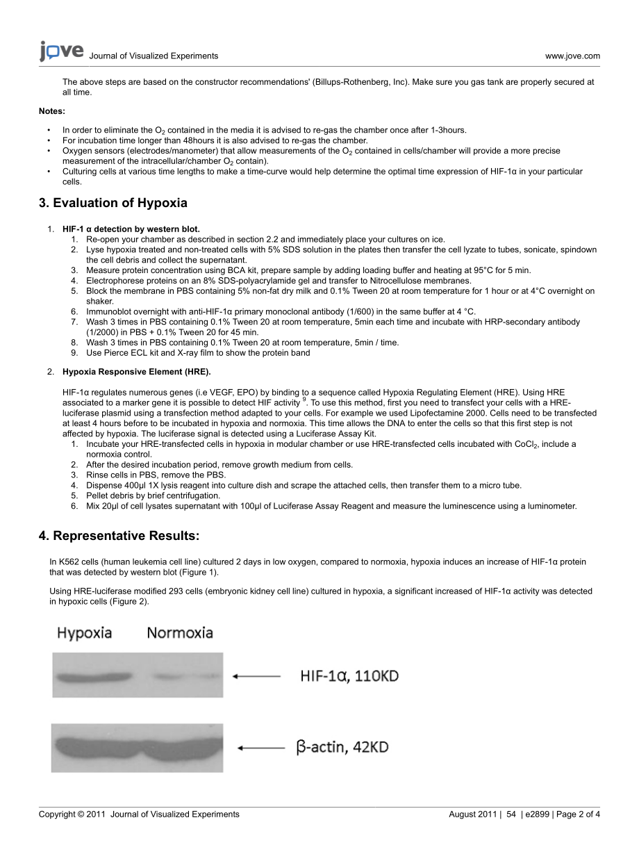 jove-protocol-2899-induction-and-testing-of-hypoxia-in-cell-culture.pdf_第2页