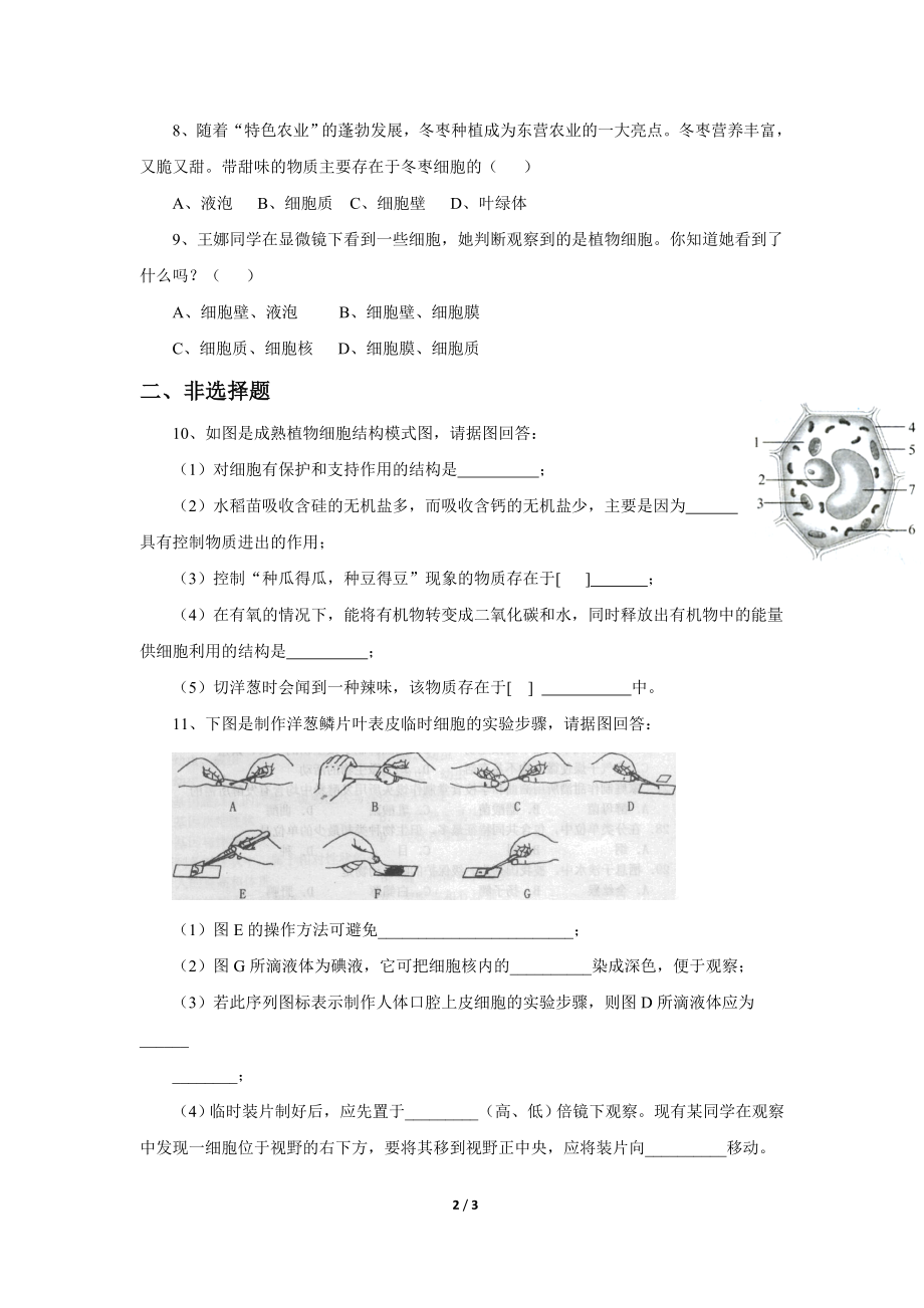 《植物细胞》习题1 含答案.doc_第2页