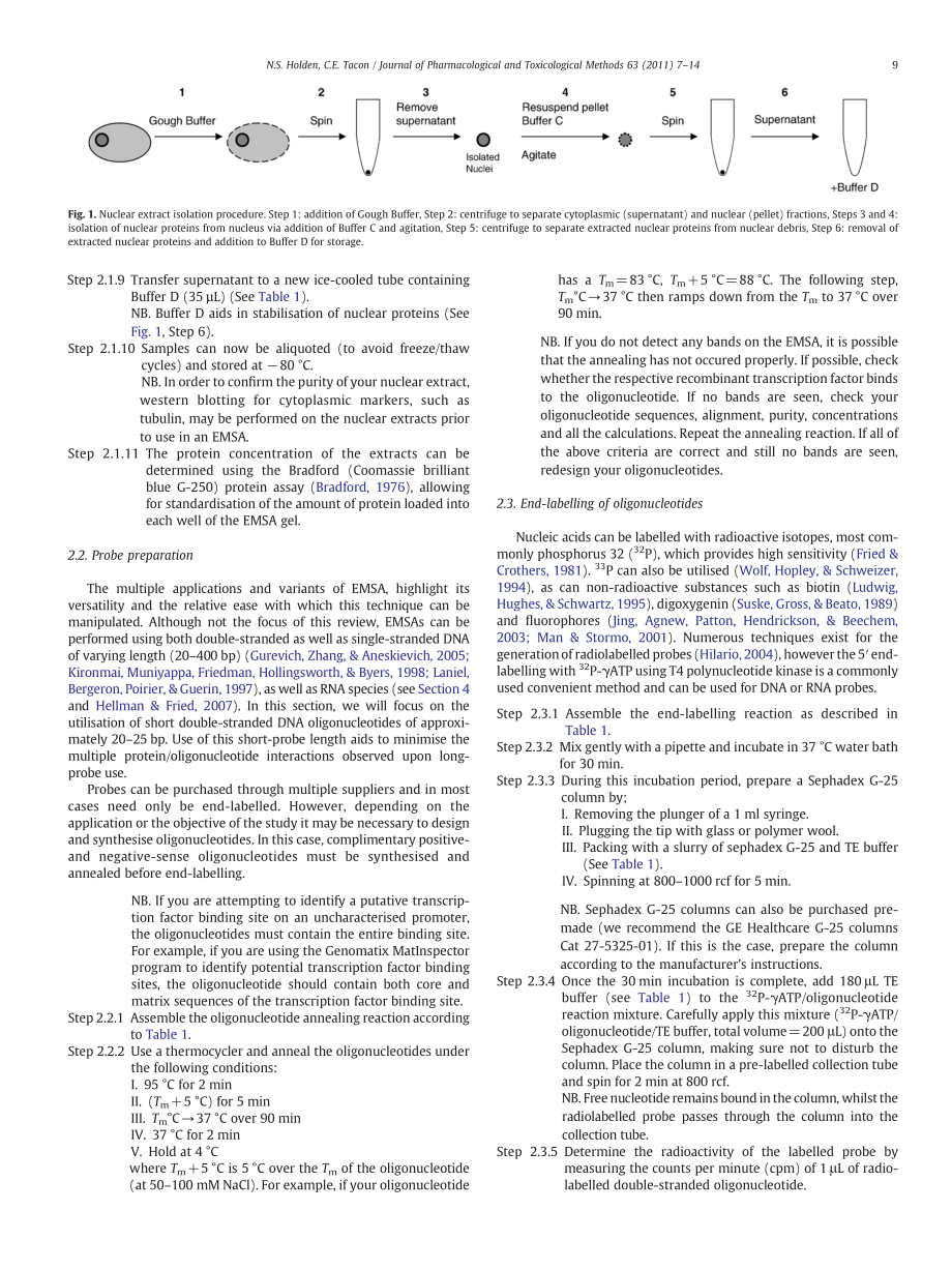 Principles and problems of the electrophoretic mobility shift assay(1).pdf_第3页