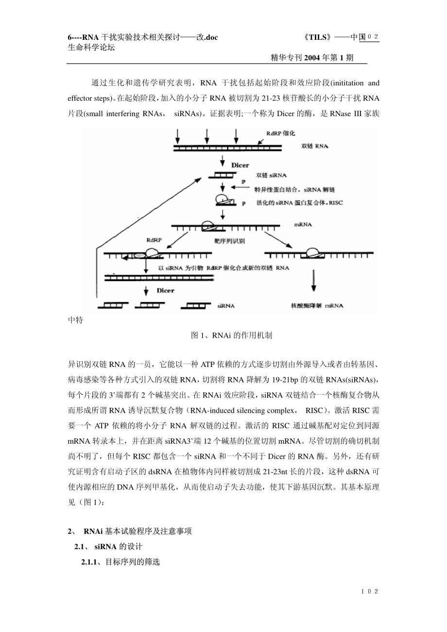 RNAi实验技术相关探讨.pdf_第2页