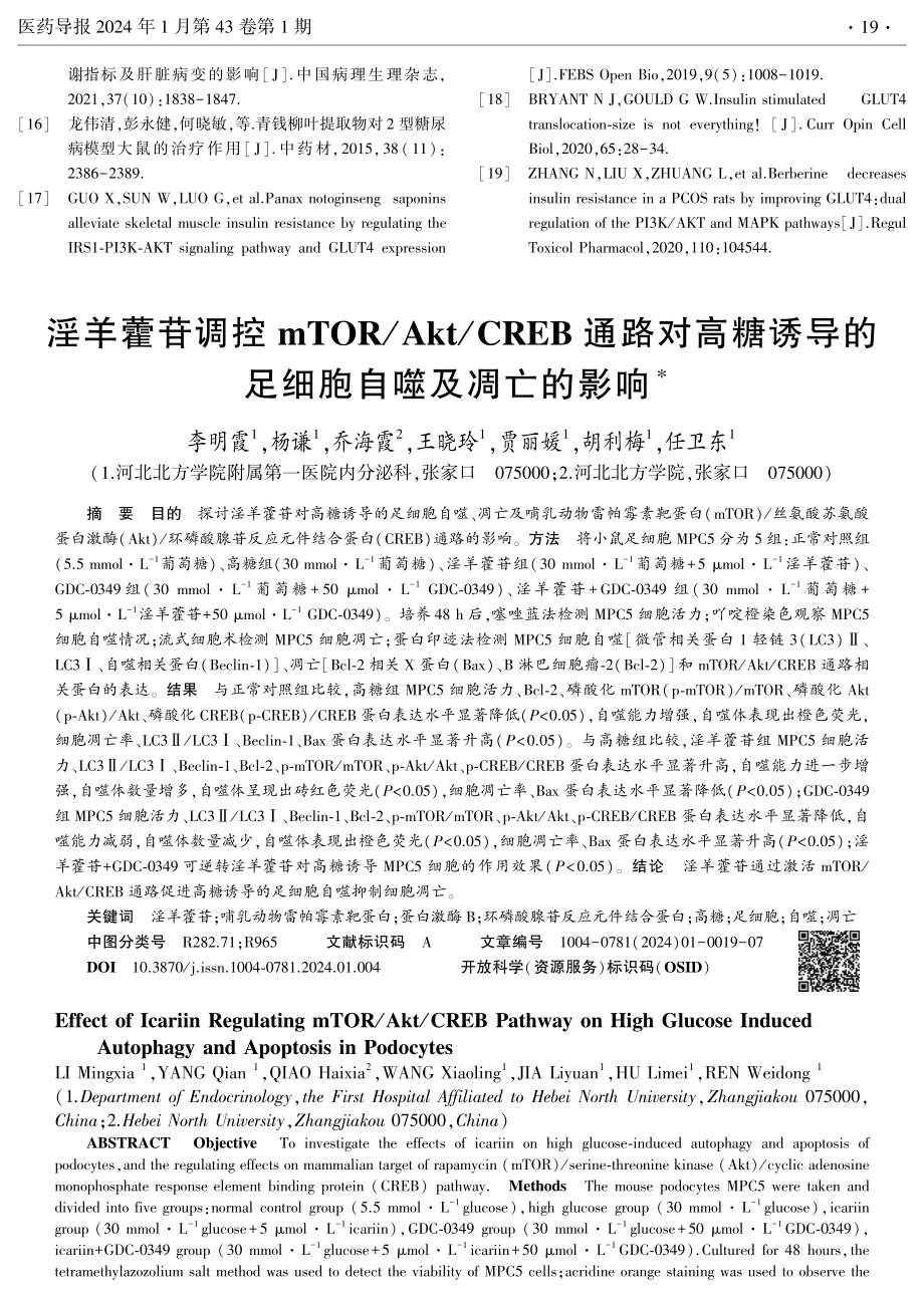 淫羊藿苷调控mTOR_Akt_CREB通路对高糖诱导的足细胞自噬及凋亡的影响.pdf_第1页